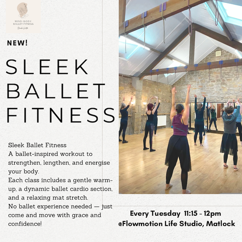 Sleek Ballet Fitness image