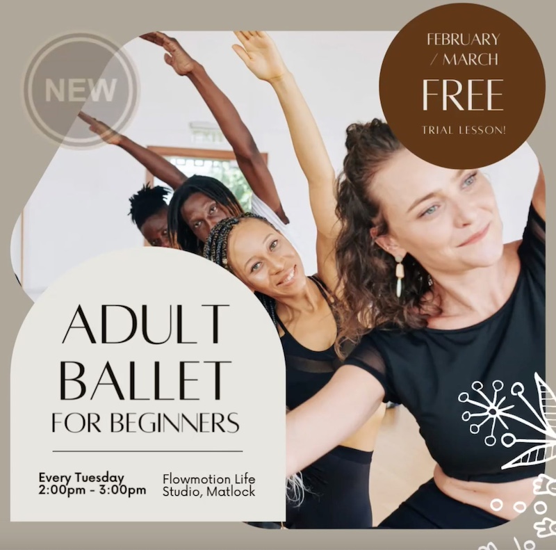 Beginners Ballet for Adults image