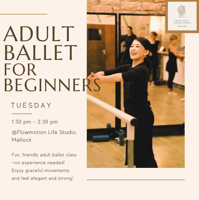 Beginners Ballet for Adults image