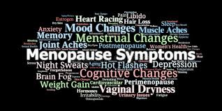 Menopause Yoga Workshop image