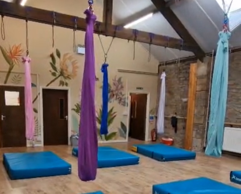 Aerial Sling Workshop